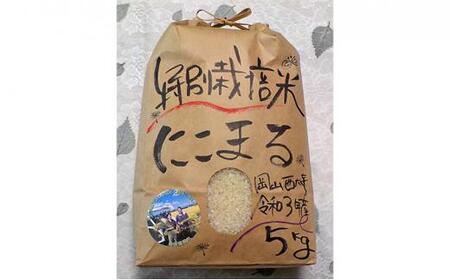 令和5年産 岡山西大寺の幸せ 特別栽培米 にこまる 数量限定 5kg [No.5220-0781]
