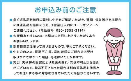 岡山県産 ぶどう 2026年発送 シャインマスカット 晴王 600g以上 1房 種無し ブドウ 葡萄 フルーツ 果物 ギフト