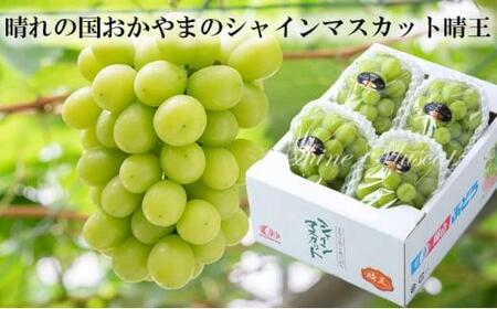 岡山県産 ぶどう 2026年発送 シャインマスカット 晴王 約2kg 3~6房 種無し ブドウ 葡萄 フルーツ 果物 ギフト