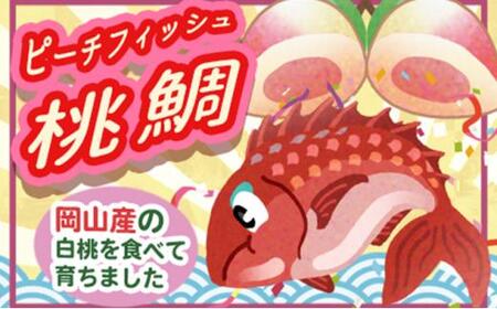 桃鯛 お刺身セット 半身分【配達不可:離島】