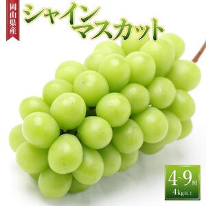 シャインマスカット 4房～9房（4kg以上）｜シャインマスカット