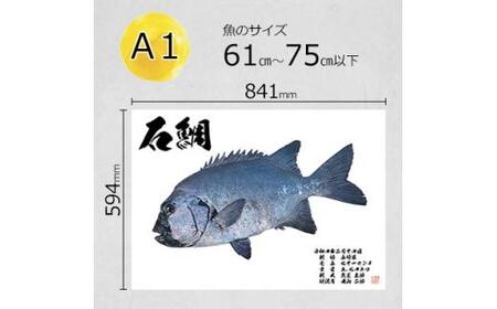 デジタル魚拓 A1サイズ オーダーメイド 和紙 フィッシング 釣り 魚拓[No.5220-1562]