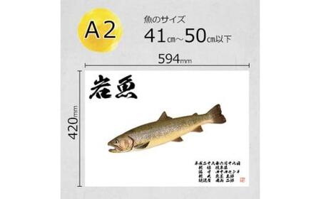 デジタル魚拓 A2サイズ オーダーメイド 和紙 フィッシング 釣り 魚拓[No.5220-1563]