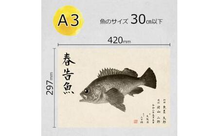 デジタル魚拓 A3サイズ オーダーメイド 和紙 フィッシング 釣り 魚拓[No.5220-1564]
