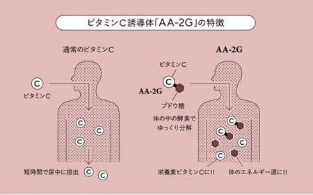 プロビタC 顆粒 60包入り 1箱 アスコルバイオ研究所