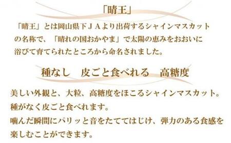 ぶどう 2026年  ご家庭用 シャイン マスカット 晴王 3～6房 約2kg ブドウ 葡萄  岡山県産 国産 フルーツ 果物
