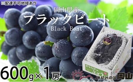 ぶどう 2026年 ブラックビート 約600g×1房 ブドウ 葡萄  岡山県産 国産 フルーツ 果物 ギフト