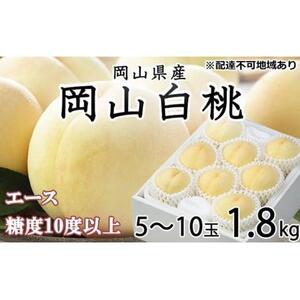 2026年  岡山   白 桃   エース 5～10玉 約1.8kg JAおかやま（早生種・中生種）｜ 桃