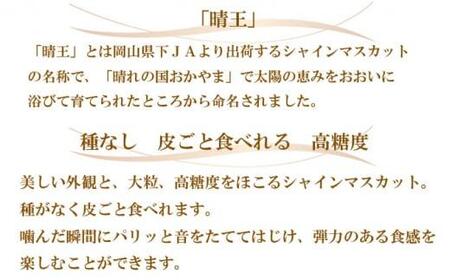 ぶどう 2026年  シャイン マスカット 晴王 3房～6房 約1.5kg ブドウ 葡萄  岡山県産 国産 フルーツ 果物 ギフト
