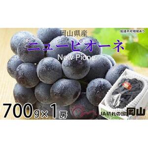 ぶどう 2026年  ニュー ピオーネ 約700g×1房 ブドウ 葡萄  岡山県産 国産 フルーツ 果物 ギフト
