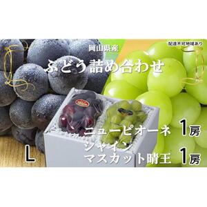 ぶどう 2026年  ニュー ピオーネ 1房 約400g シャイン マスカット 晴王 1房 約400g（Lサイズ）詰め合わせ 岡山県産 国産 フルーツ 果物 ギフト