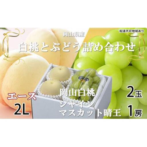 桃 ぶどう 2026年 岡山 白桃 エース 2玉×約250g（2Lサイズ、早生種・中生種 ） シャイン マスカット 晴王 1房約500g 詰め合わせ 岡山県産 フルーツ