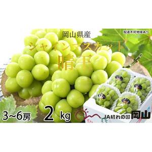 ぶどう 2026年   シャイン マスカット 晴王 3房～6房 約2kg ブドウ 葡萄  岡山県産 国産 フルーツ 果物 ギフト