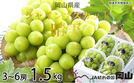 ぶどう 2026年   シャイン マスカット 晴王 3房～6房 約1.5kg ブドウ 葡萄  岡山県産 国産 フルーツ 果物 ギフト