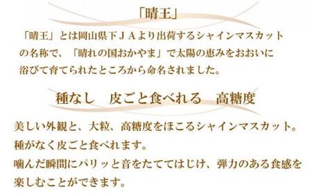 ぶどう 2026年 シャイン マスカット 晴王 約500g×2房 ブドウ 葡萄 岡山県産 国産 フルーツ 果物 ギフト