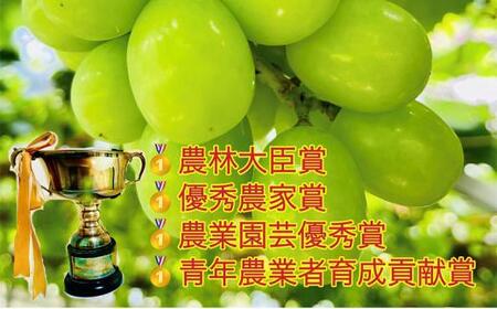 ぶどう 2026年 シャインマスカット クイーンニーナ 大粒のみ 36粒 JEWELBOX ギフト 贈り物 岡山 国産 果物 フルーツ シャイン マスカット