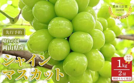 ぶどう 2026年  シャインマスカット 厳選 秀品 約1kg 合計2房 農林大臣賞受賞 岡山 国産 果物 フルーツ シャイン マスカット 2026年7月上旬から発送 6,480円