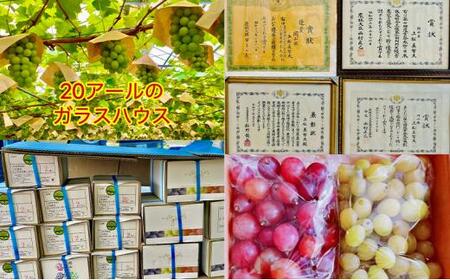 ぶどう 2026年 クイーンニーナ シャインマスカット 厳選 秀品 粒だけ 約1kg 農林大臣賞受賞 岡山 国産 果物 フルーツ シャイン マスカット 2026年8月上旬から発送