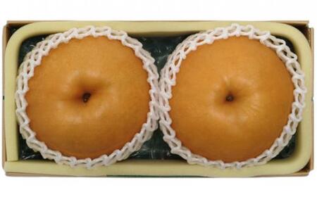 2026年 あたご 梨 約1.5kg 2玉 【発送 11月下旬～12月中旬】｜ 梨 