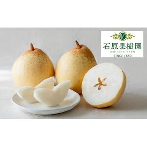 梨 2026年  備前乙女梨（鴨梨） 5～6玉入り（約3kg）箱赤秀 【ナシ なし 岡山県産 国産 フルーツ 果物 ギフト 石原果樹園】