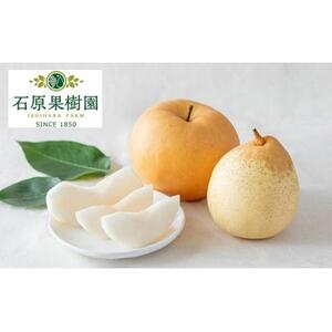 梨 2026年  備前横綱梨（あたご梨） 超大玉2玉（1玉1kg～1.5kg）・備前乙女梨（鴨梨） 4～6玉 詰合せ 合計4kg以上 箱赤秀【岡山県産 フルーツ ギフト 石原果樹園】