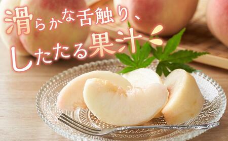 桃 2026年 岡山 白桃 5～6玉入 約1.5kg 岡山市一宮地区産 もも モモ フルーツ 果物 ギフト