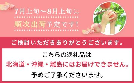 桃 2026年 岡山 白桃 5～6玉入 約1.5kg 岡山市一宮地区産 もも モモ フルーツ 果物 ギフト