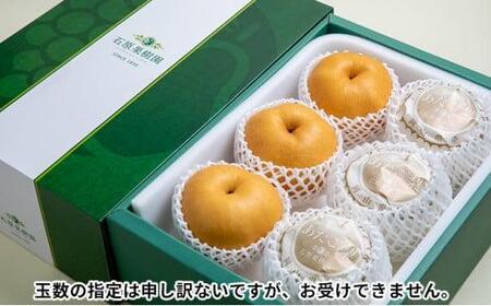 梨 2026年  あたご梨 3～9玉 合計約4.5kg 贈答箱赤秀【ナシ なし 岡山県産 国産 フルーツ 果物 ギフト 石原果樹園】