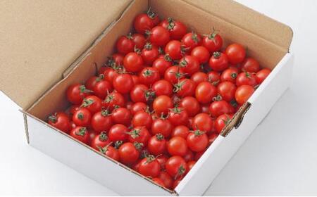 きびトマト(高糖度ミニトマト)2kg