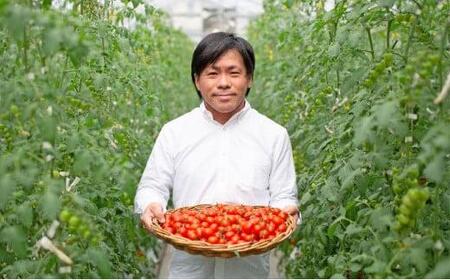 きびトマト(高糖度ミニトマト)2kg