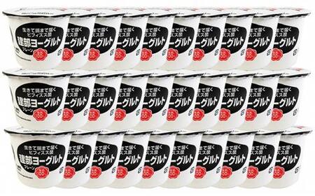 無添加 建部ヨーグルト(黒糖蜜付き)30個