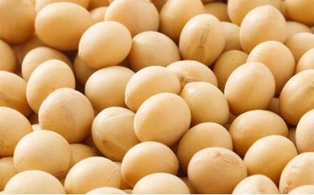 岡山テンペみそ 300g×5個