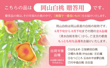 2026年 先行予約 贈答用 岡山  白 桃  早生、中生種 約2kg（5～7玉）｜ 桃