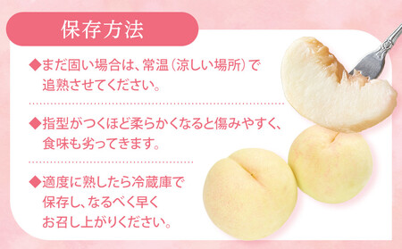 2026年 先行予約 贈答用 岡山  白 桃  早生、中生種 約2kg（5～7玉）｜ 桃