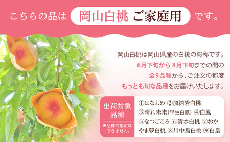 2026年 先行予約 ご家庭用 岡山   白 桃  早生、中生種 約2kg（5～10玉）|　 桃