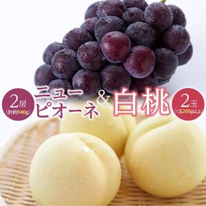 桃 ぶどう 2026年  白桃 2玉（1玉200g以上） ニュー ピオーネ 2房（合計約940g）詰合せ もも 葡萄 岡山県産 国産 フルーツ 果物 ギフト