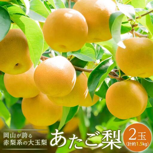 梨 2026年  あたご梨 2玉（1玉約750g）合計約1.5kg なし ナシ 岡山県産 国産 フルーツ 果物 ギフト