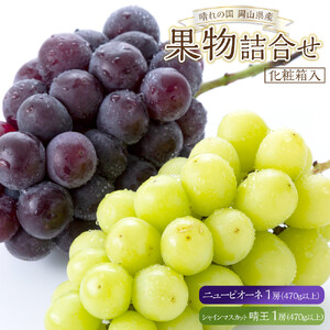 ぶどう 2026年 果物 詰合せ ニュー ピオーネ 1房（1房470g以上）シャイン マスカット 晴王 1房（1房470g以上） 化粧箱入り 岡山県産 国産 フルーツ ギフト