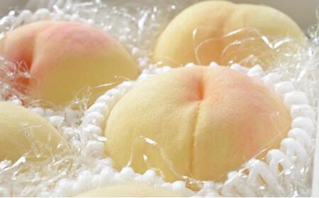 桃 2026年 白桃 6玉(1玉250g以上) 等級: ロイヤル 化粧箱入り もも モモ 岡山県産 国産 フルーツ 果物 ギフト