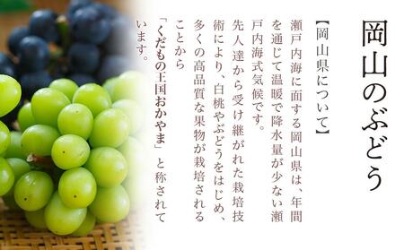 ニュー ピオーネ 2房（1房480g以上）約1kg 化粧箱入り ｜ ピオーネ