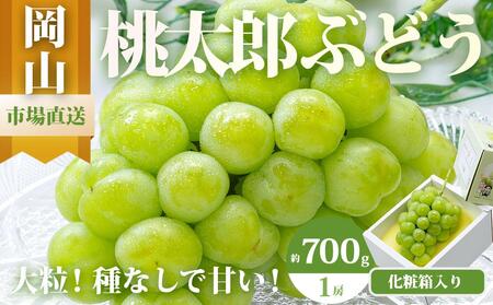 ぶどう 2026年  桃太郎 ぶどう 1房（700g以上）化粧箱入り ブドウ 葡萄  岡山県産 国産 フルーツ 果物 ギフト