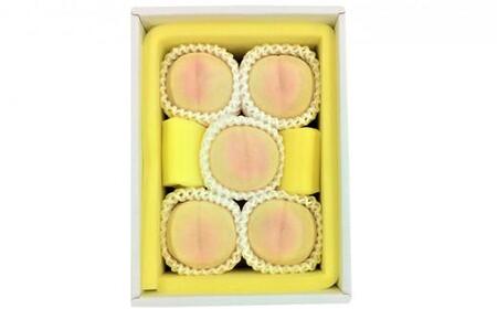 2026年　清水   白 桃   5玉 合計約1.3kg  ｜桃