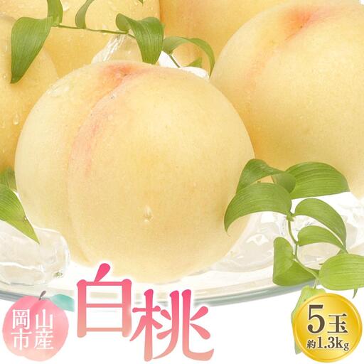 2026年   白 桃   5玉 合計約1.3kg ｜桃