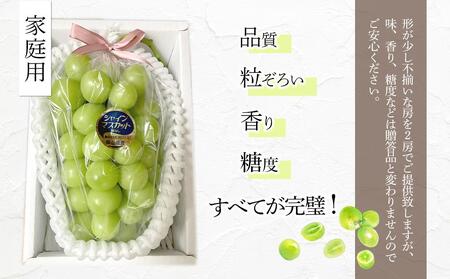 ぶどう  家庭用 2026年 糖度18度以上 岡山県産 シャインマスカット 600g以上 2房 1.2kg以上 訳あり＜9月以降発送＞ ｜ シャインマスカット