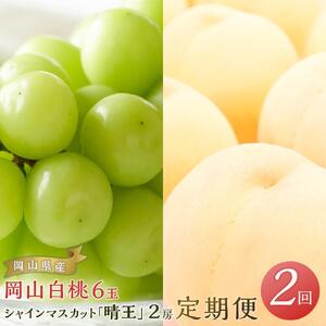 フルーツ 2026年  岡山 白桃 6玉 シャイン マスカット 晴王 2房 を2回に分けてお届け！ 定期便 桃 ぶどう 梨 岡山県産 国産 果物 ギフト