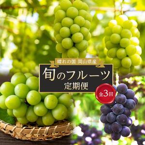 フルーツ 定期便 2026年  晴れの国 岡山県産 旬のフルーツ定期便 3回コース 葡萄 ぶどう 岡山県産 国産 セット ギフト