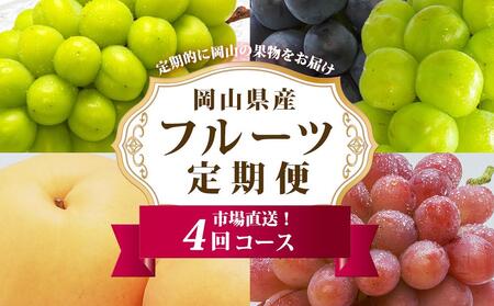ぶどう 梨 定期便 2026年 フルーツ王国 岡山を堪能 4回コース 秋・冬物語 葡萄 ぶどう 梨 なし 岡山県産 国産 果物 セット ギフト