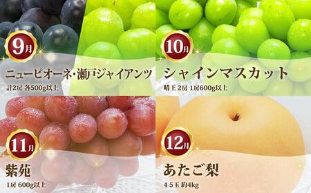 ぶどう 梨 定期便 2026年 フルーツ王国 岡山を堪能 4回コース 秋・冬物語 葡萄 ぶどう 梨 なし 岡山県産 国産 果物 セット ギフト
