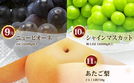 ぶどう 梨 定期便 2026年 フルーツ王国 岡山を堪能 定期便 3回コース 葡萄 ぶどう 梨 なし 岡山県産 国産 果物 セット ギフト