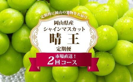 ぶどう 定期便 2026年 シャイン マスカット 晴王 各月2房（1房600g以上） 2回コース マスカット ブドウ 葡萄  岡山県産 国産 フルーツ 果物 ギフト